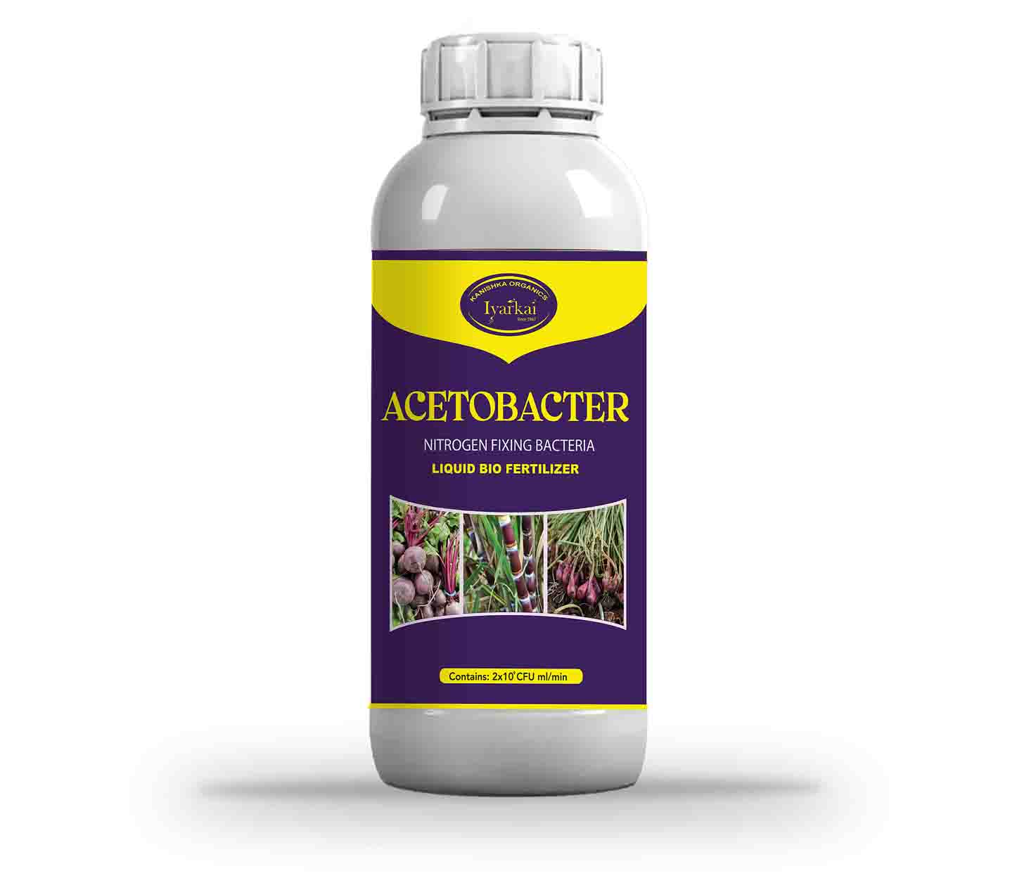 Acetobactor – Liquid Bio Fertilizer