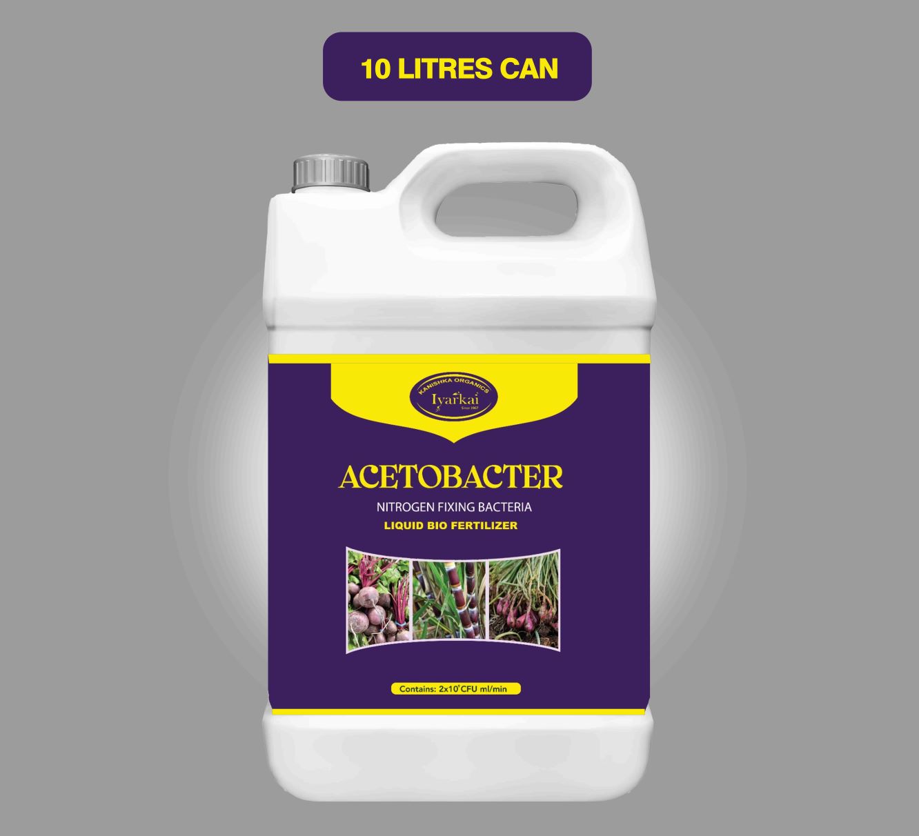 Acetobactor – Liquid Bio Fertilizer