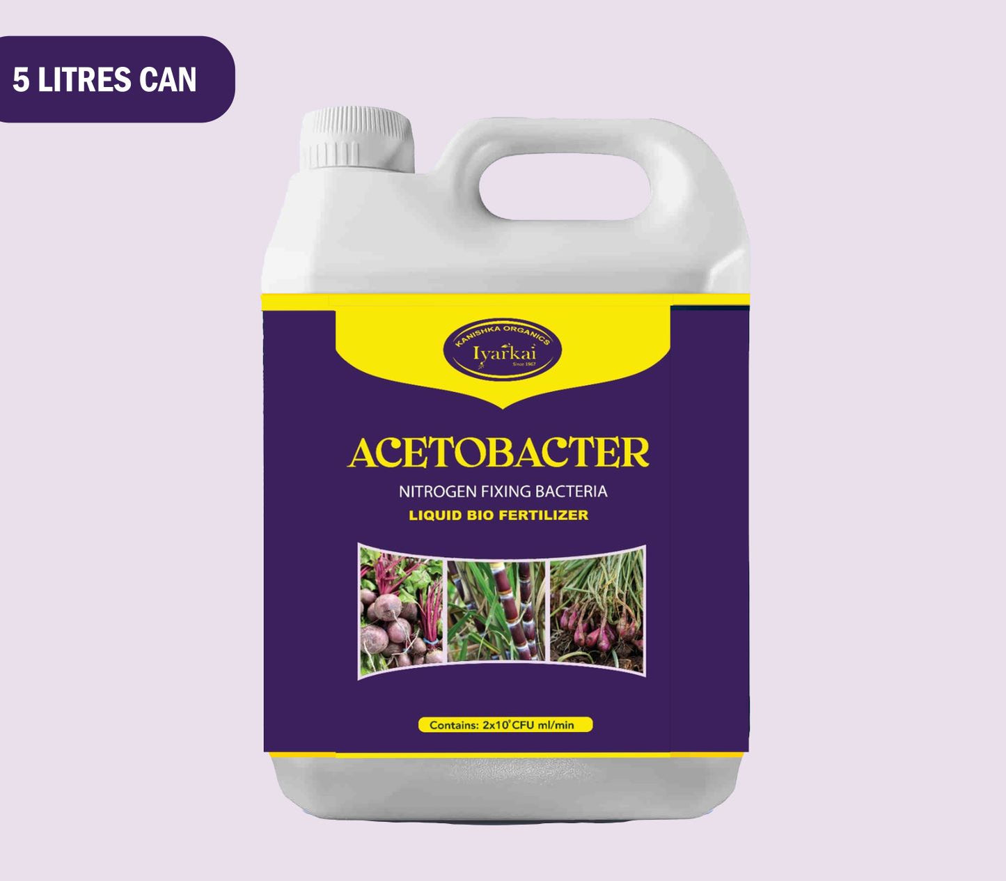 Acetobactor – Liquid Bio Fertilizer