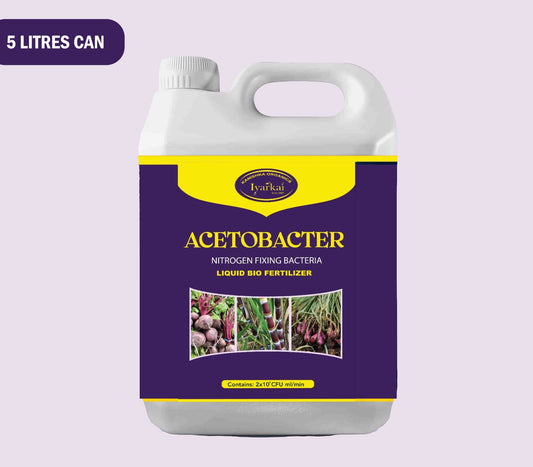 Acetobactor – Liquid Bio Fertilizer