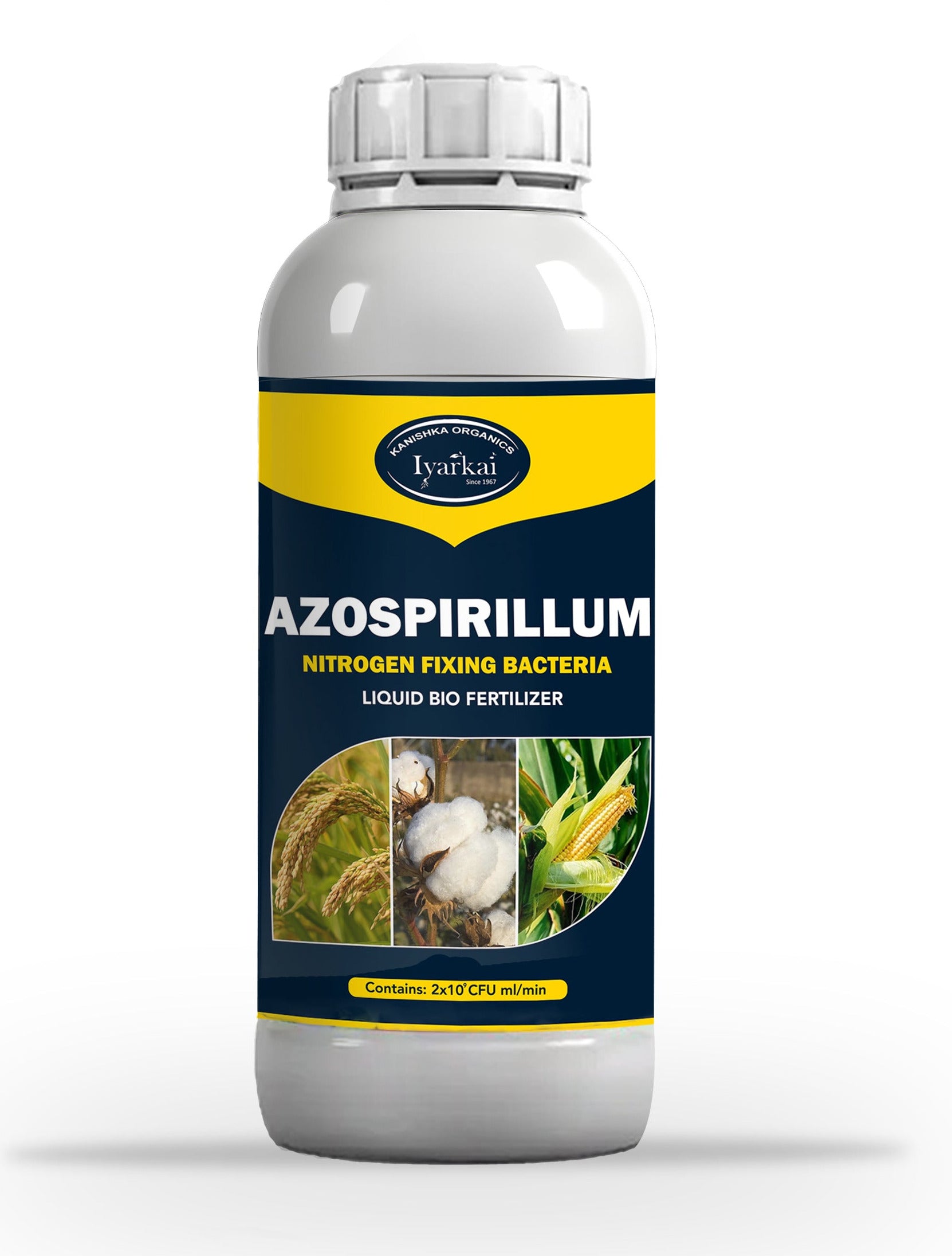 Azospirillum Nitrogen Fixing Bio fertilizer