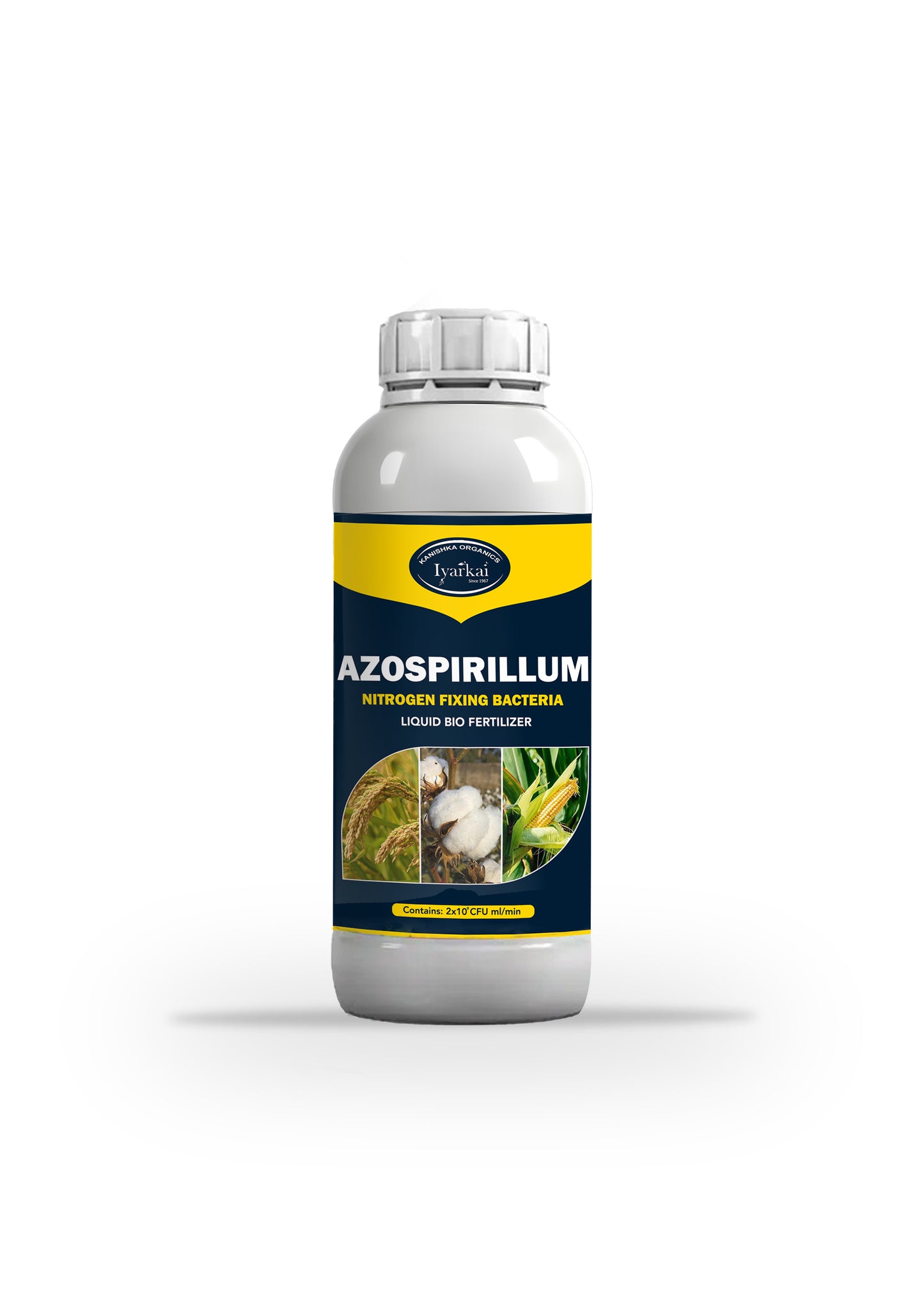 Azospirillum Nitrogen Fixing Bio fertilizer