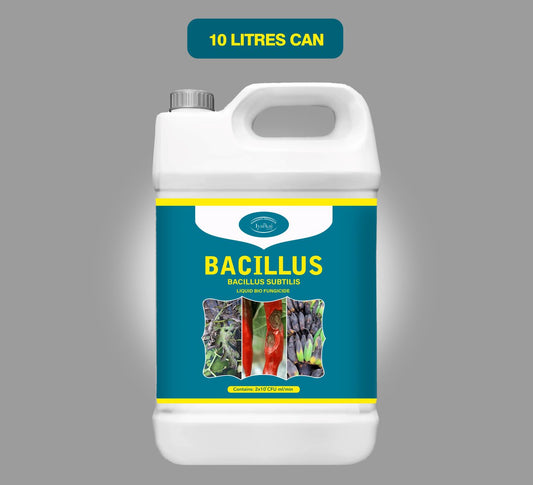 Bacillus subtilis – Liquid Bio-Fungicide