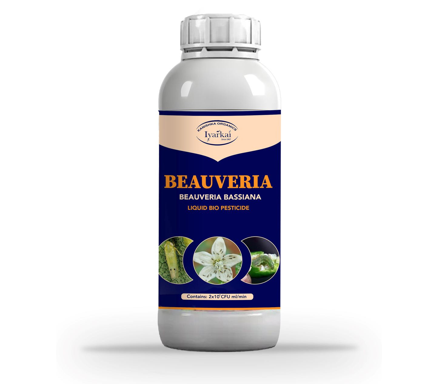Beauveria bassiana - Liquid Bio Insecticide