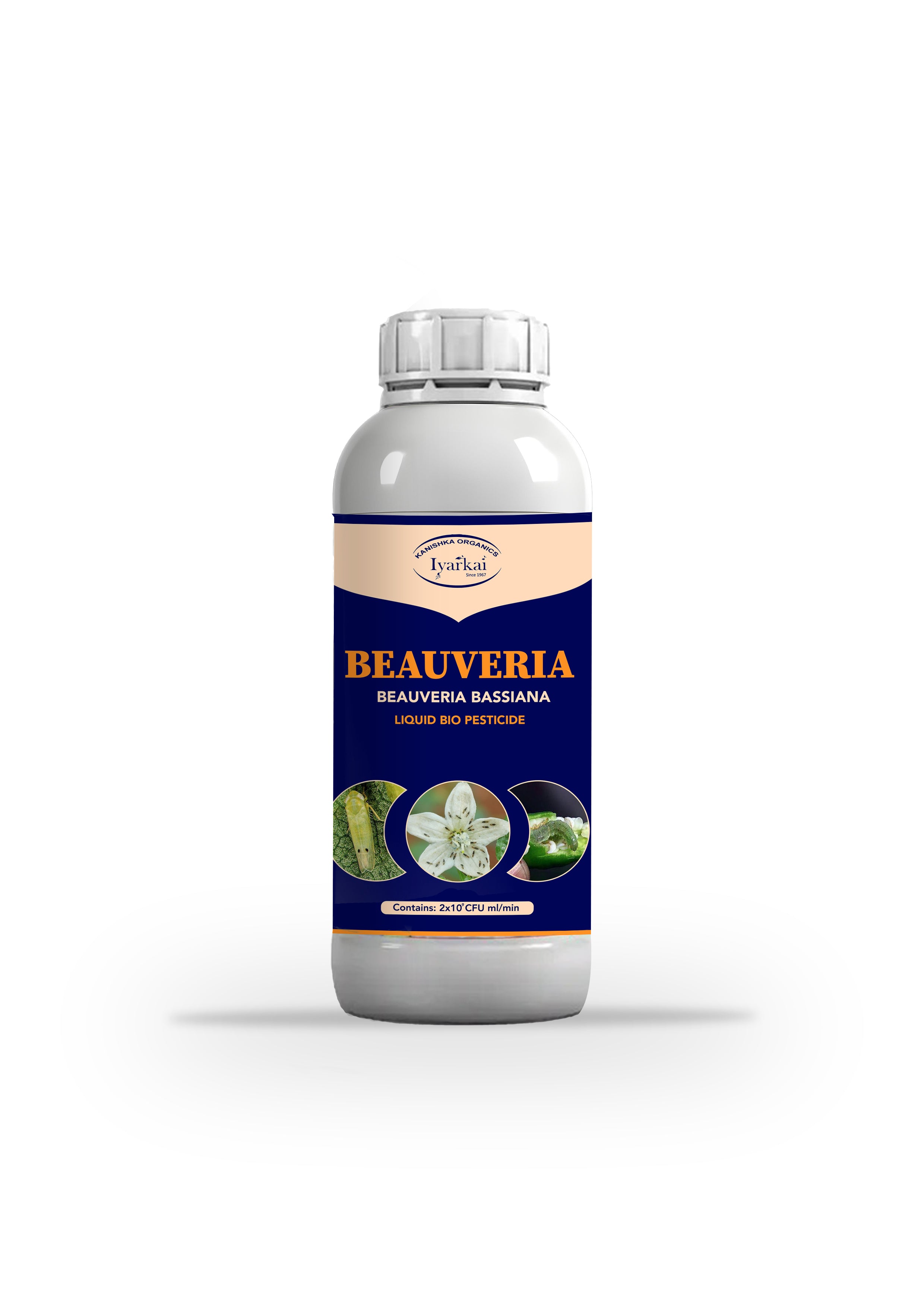 Beauveria bassiana - Liquid Bio Insecticide