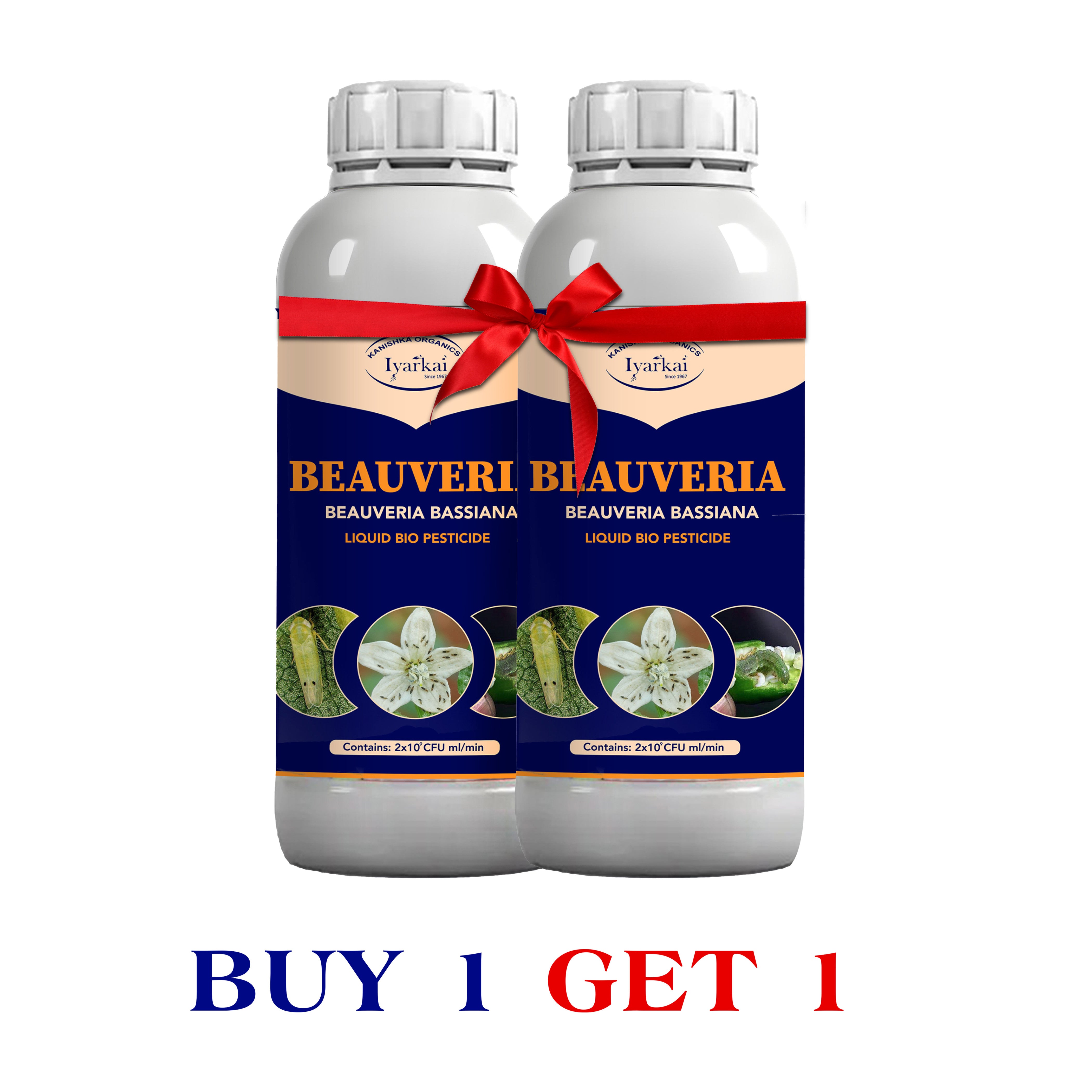 Beauveria bassiana - Liquid Bio Insecticide (1+1)