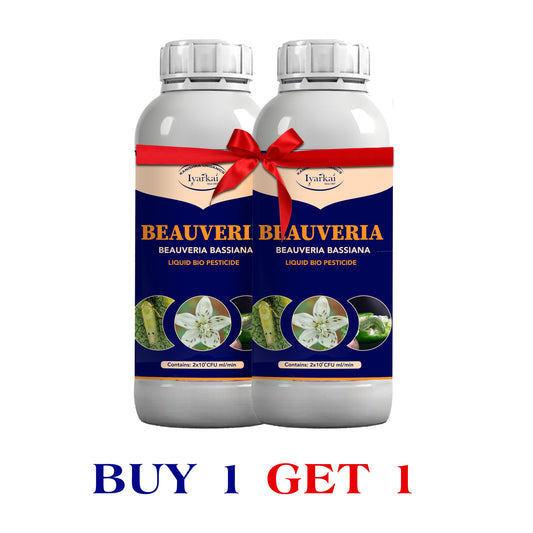 Beauveria bassiana - Liquid Bio Insecticide (1+1)