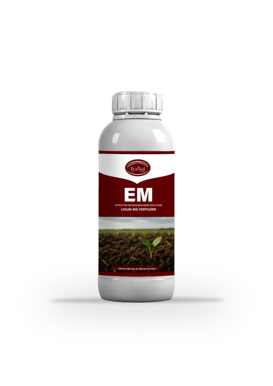 EM Solution