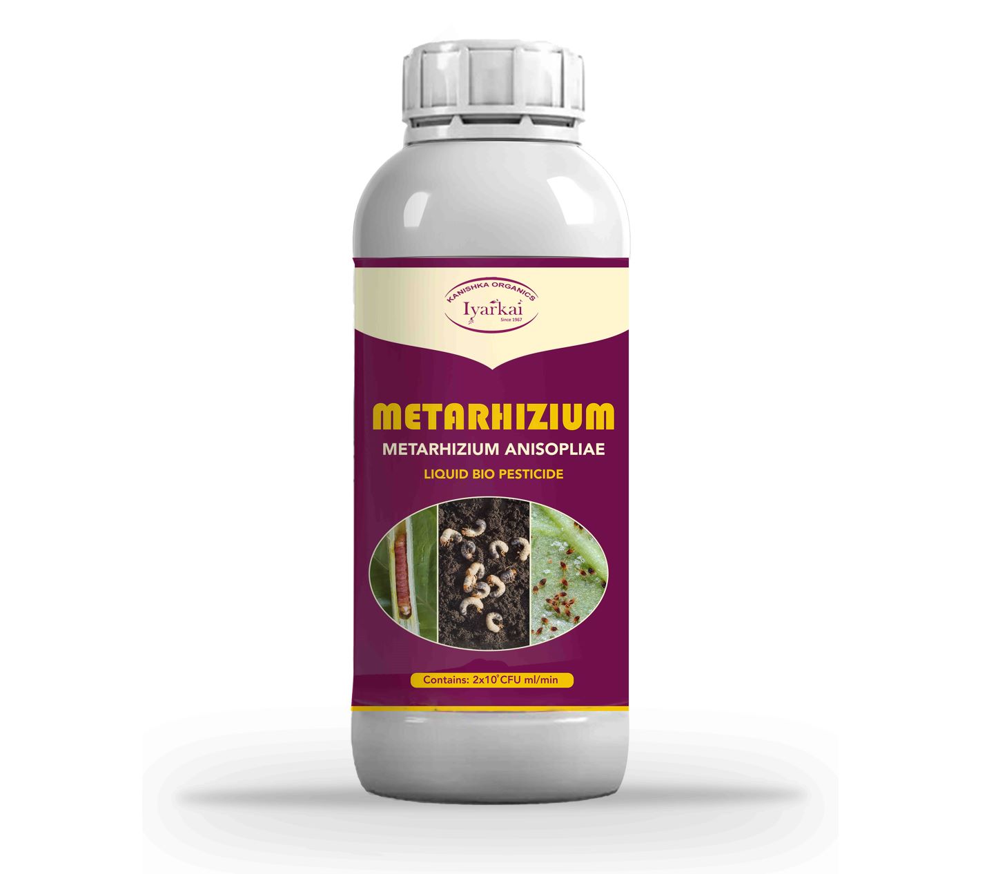 Metarhizium anisopliae - Liquid Bio Insecticide