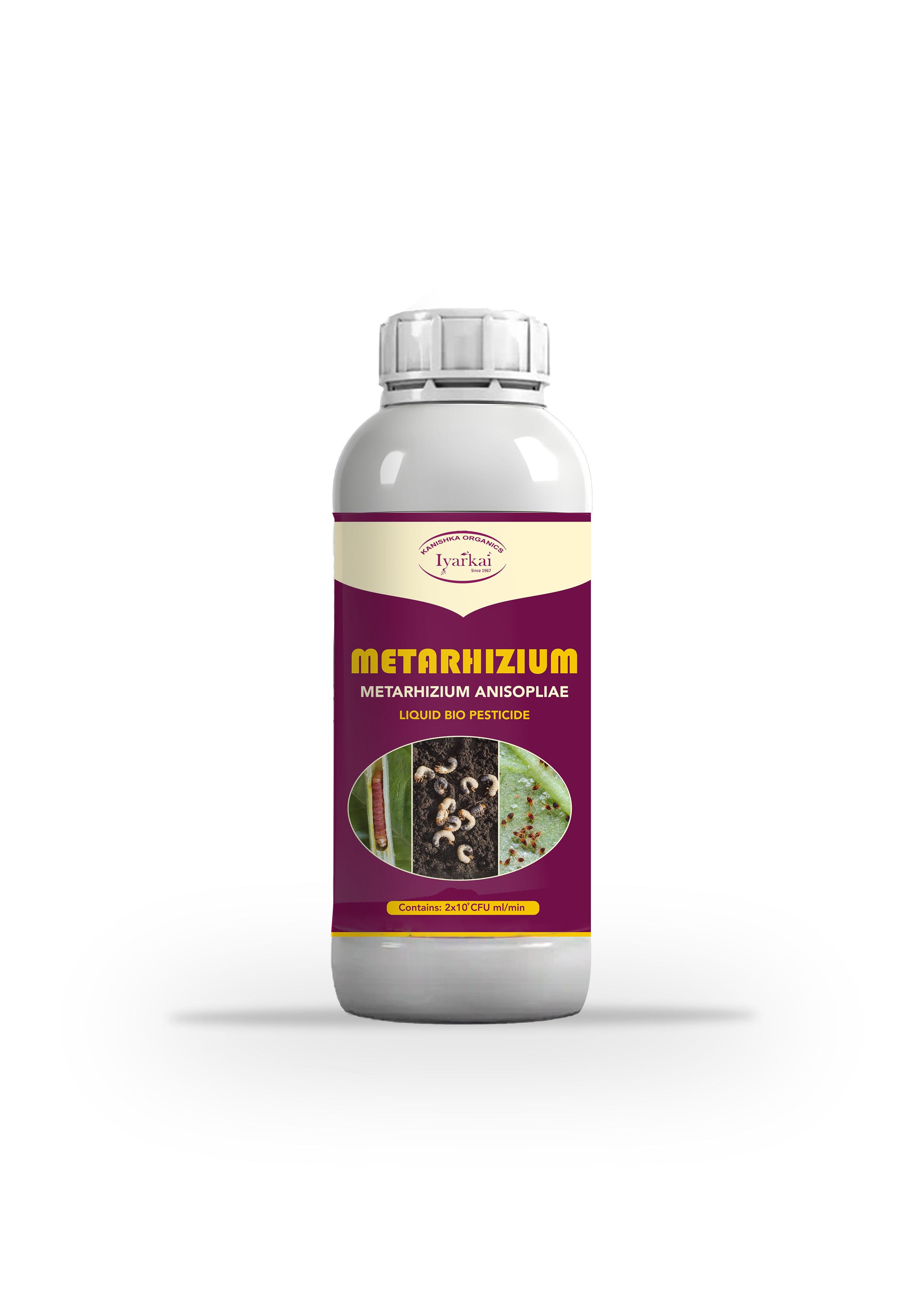 Metarhizium anisopliae - Liquid Bio Insecticide