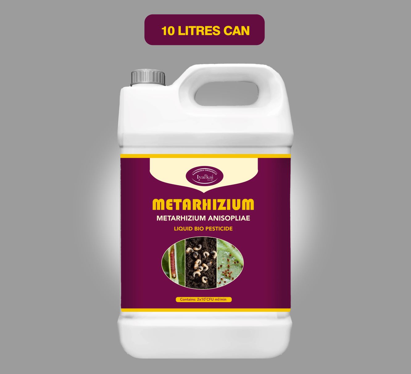 Metarhizium anisopliae - Liquid Bio Insecticide