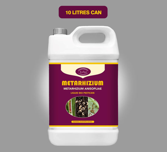 Metarhizium anisopliae - Liquid Bio Insecticide