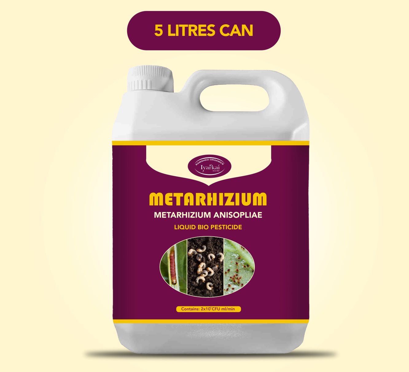 Metarhizium anisopliae - Liquid Bio Insecticide