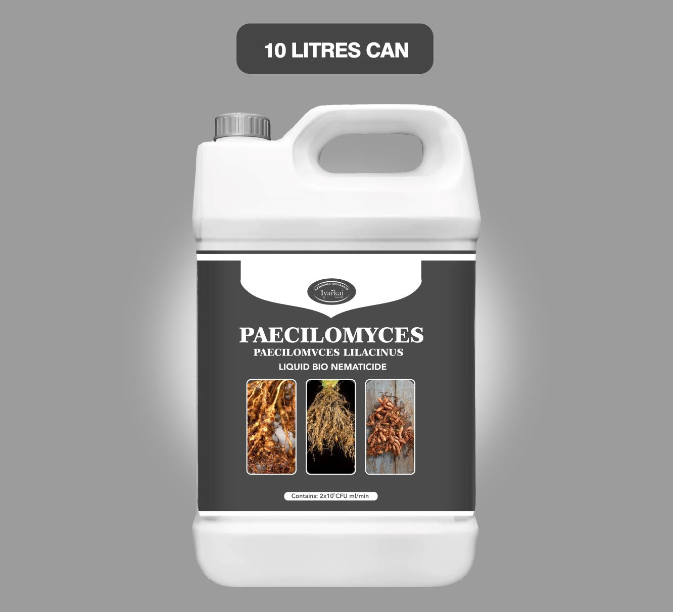 Paecilomyces lilacinus – Bio-Nematicide for Root Protection