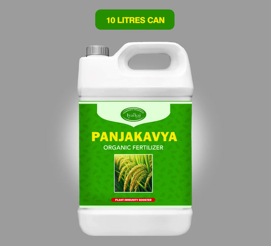 Panchagavya Liquid – Organic Growth Promoter