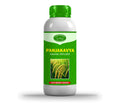 Panchagavya Liquid – Organic Growth Promoter