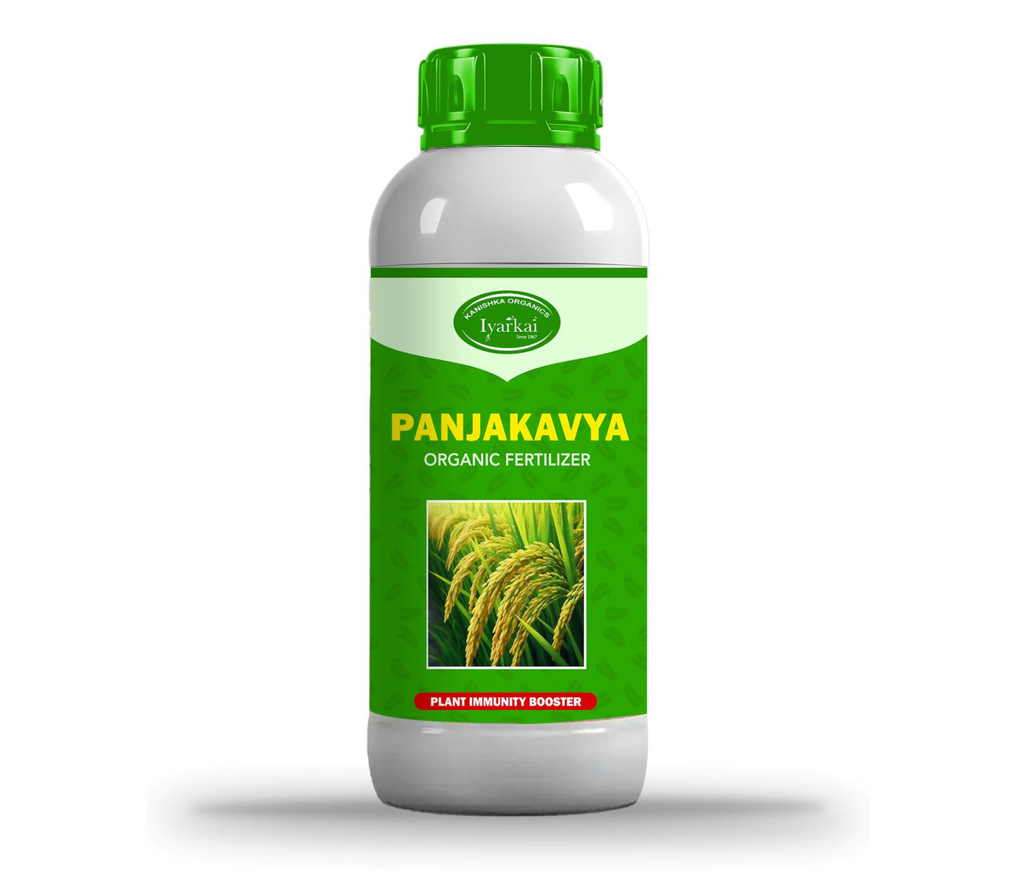Panchagavya Liquid – Organic Growth Promoter