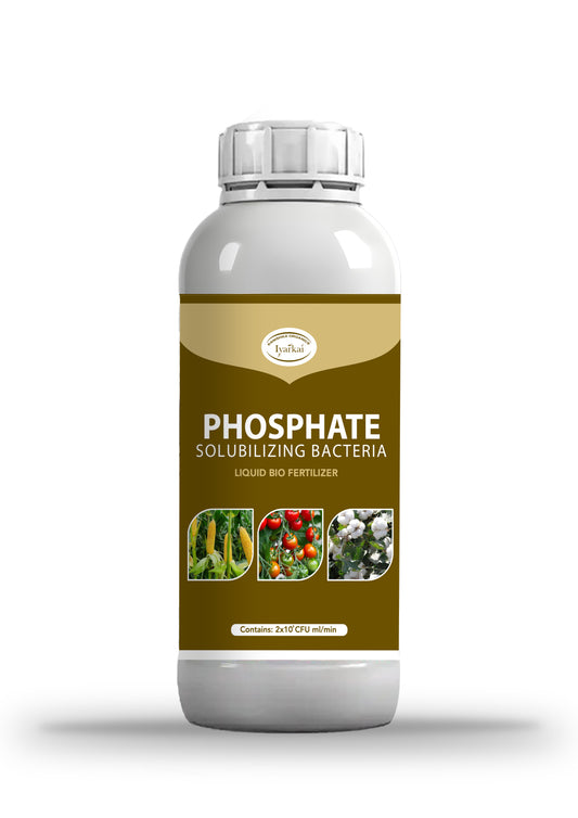 Phosphate solubilizing bacteria