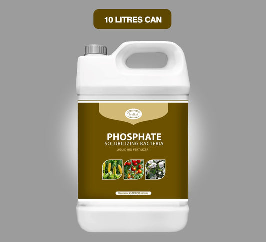 Phosphate Solubilizing Bacteria (PSB) Liquid – Bio-Fertilizer