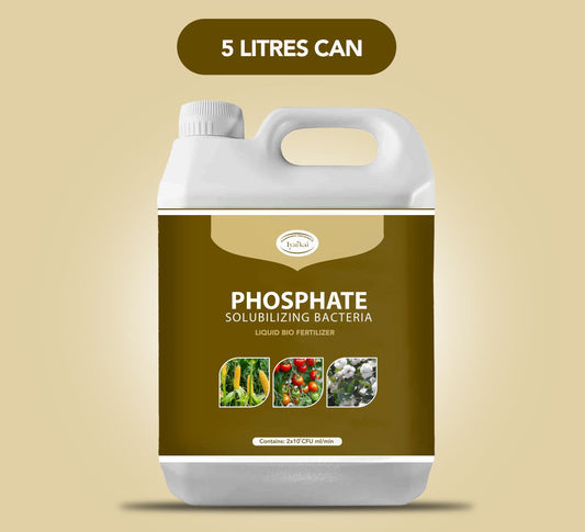 Phosphate Solubilizing Bacteria (PSB) Liquid – Bio-Fertilizer