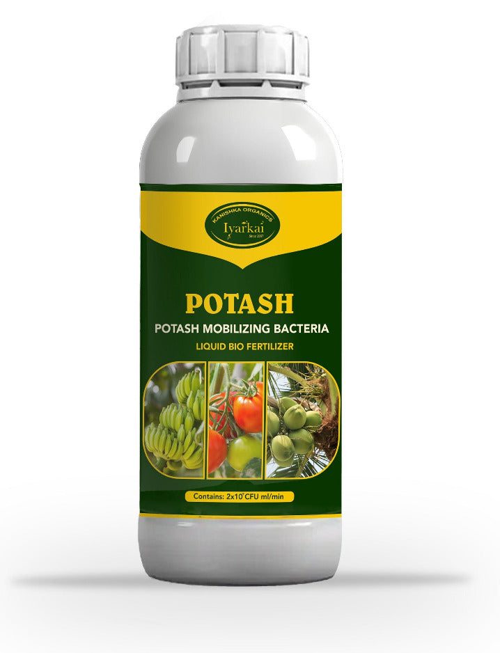 Potash Mobilizing Bacteria