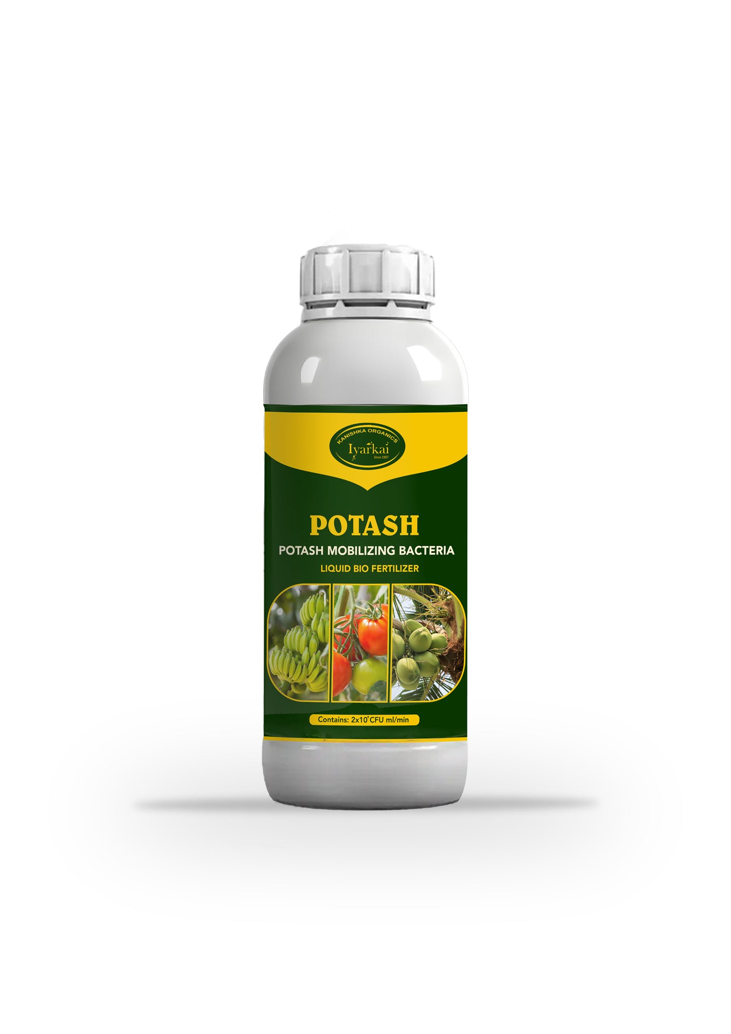 Potash Mobilizing Bacteria