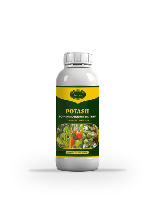 Potash Mobilizing Bacteria