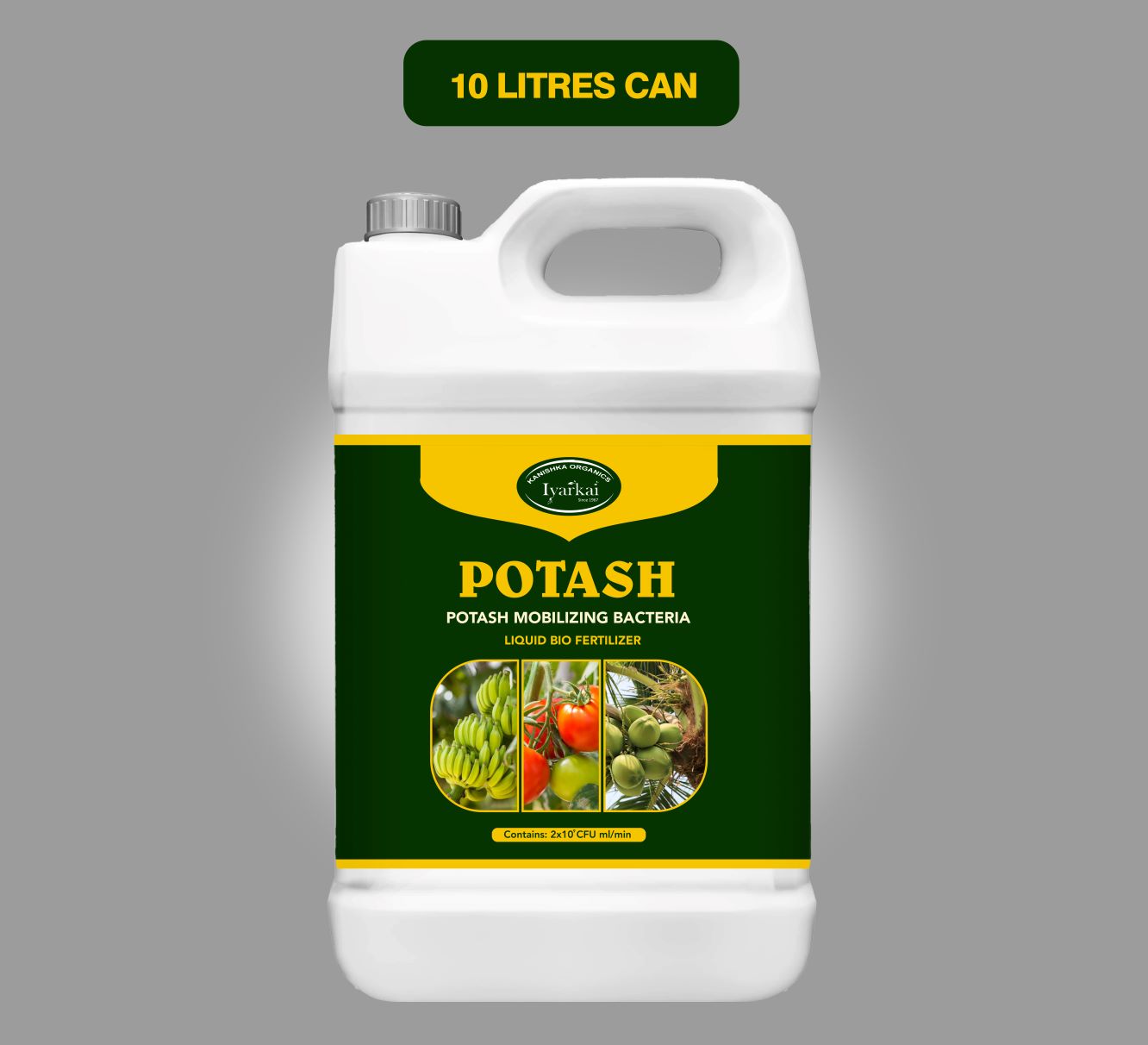 Potash Mobilizing Bacteria