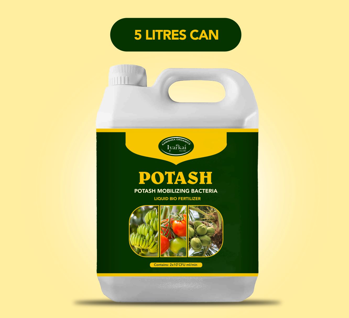 Potash Mobilizing Bacteria