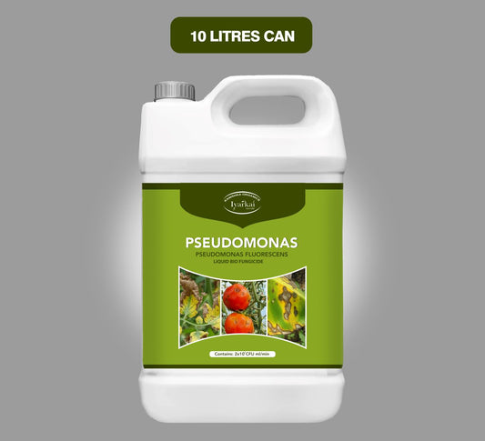 Pseudomonas fluorescens – Liquid Bio-Fungicide