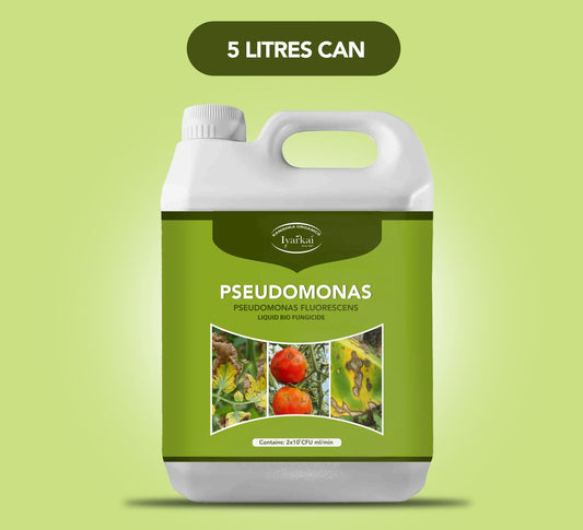 Pseudomonas fluorescens – Liquid Bio-Fungicide