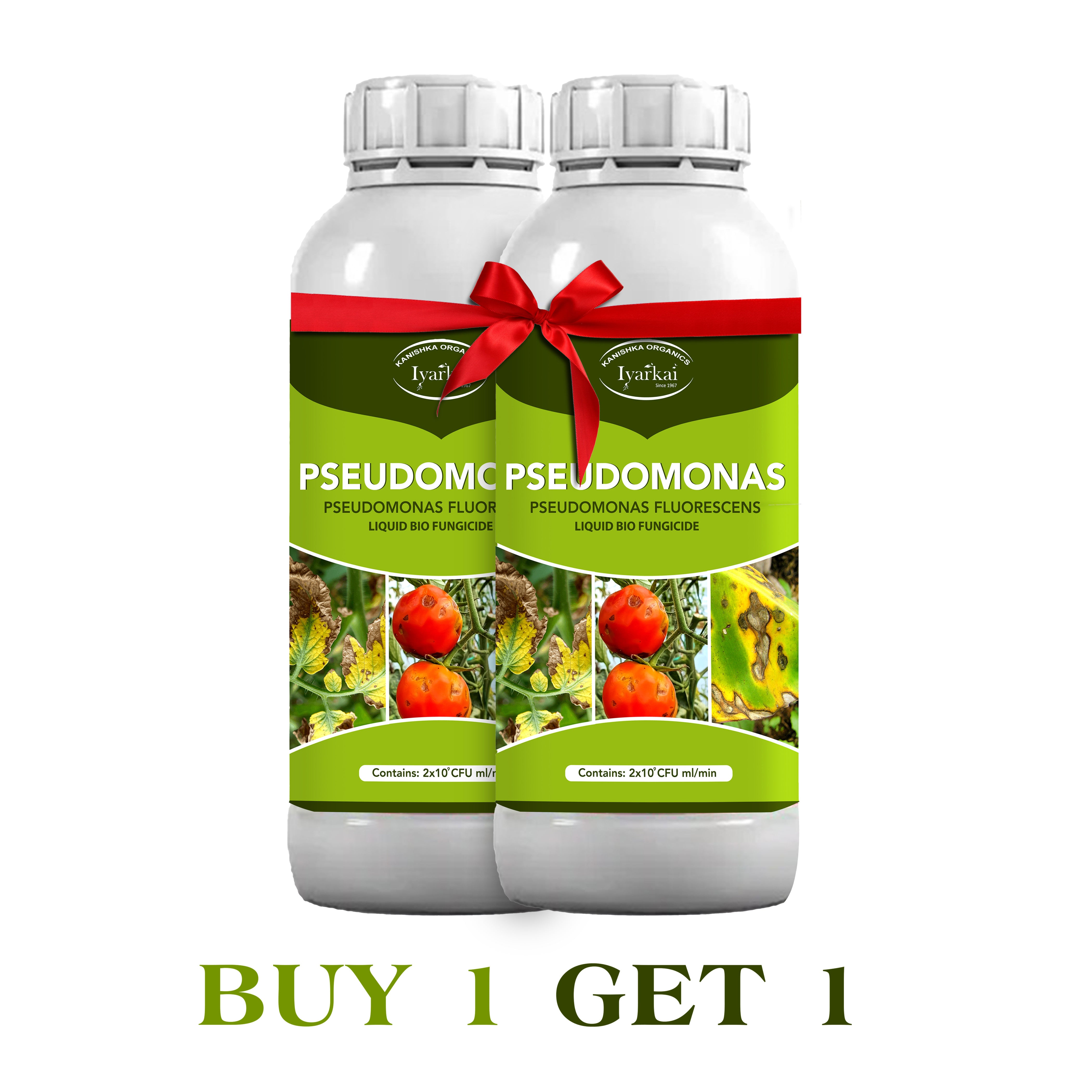Pseudomonas fluorescens – Liquid Bio-Fungicide (1+1)