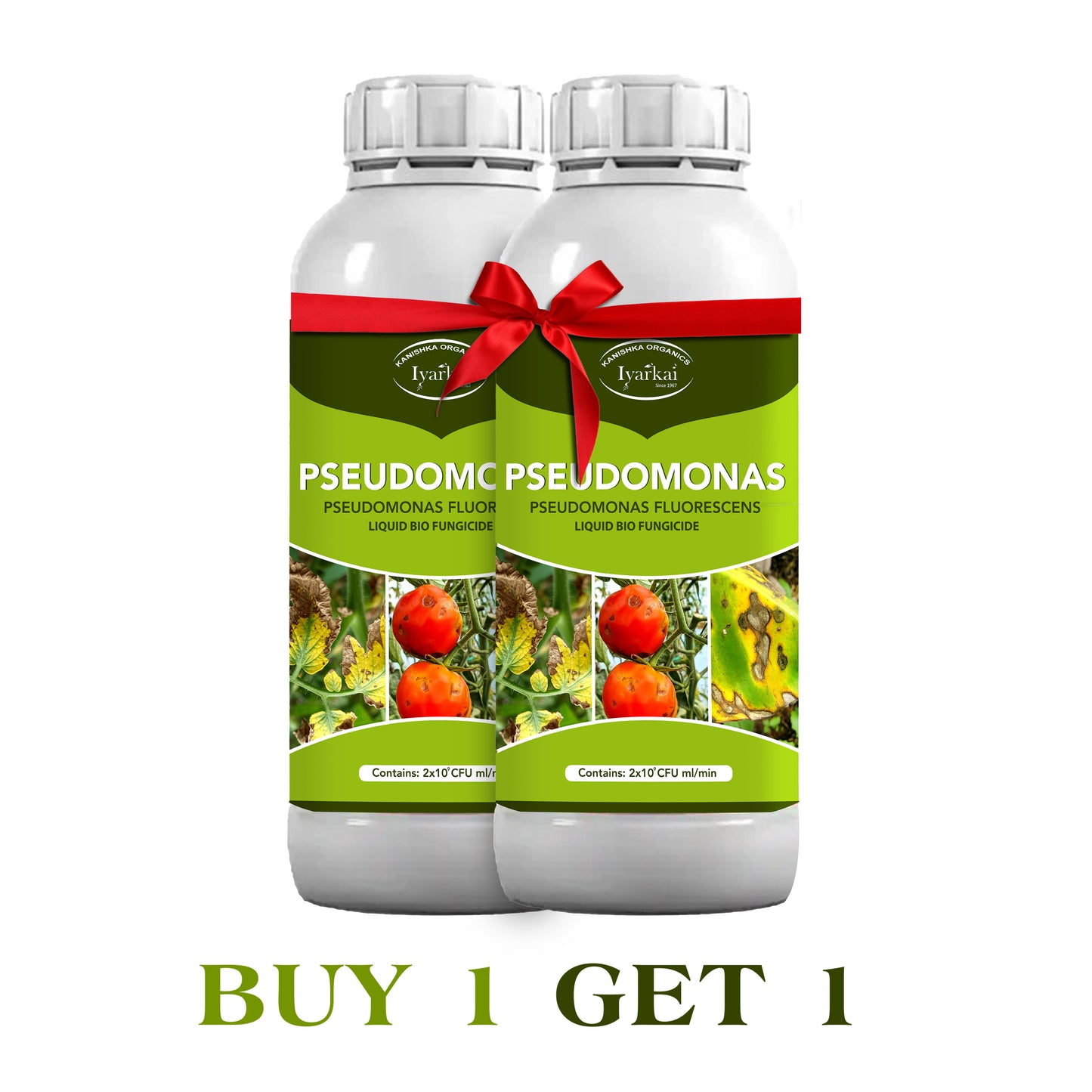 Pseudomonas fluorescens – Liquid Bio-Fungicide (1+1)