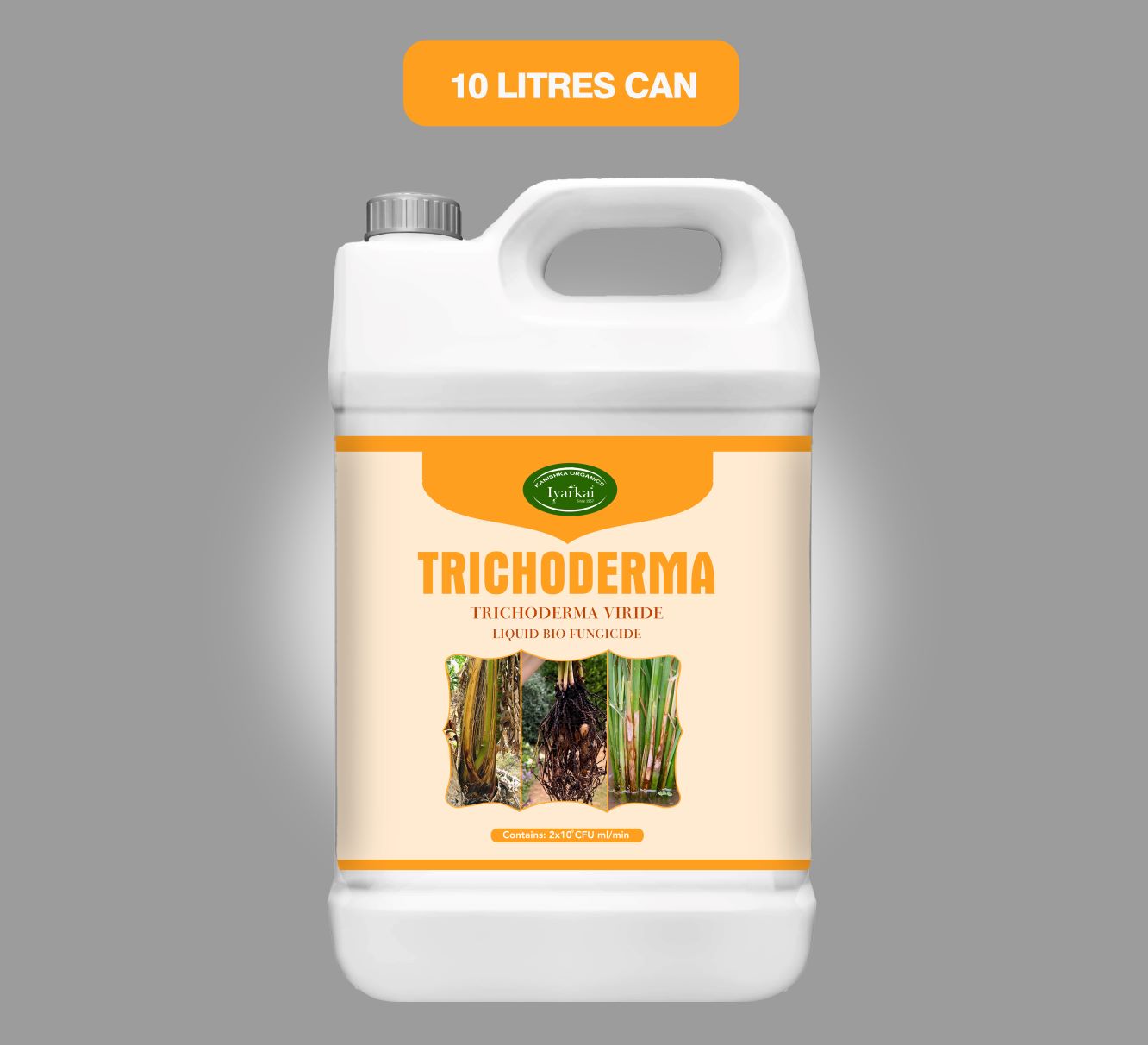 Trichoderma viride – Liquid Bio-Fungicide