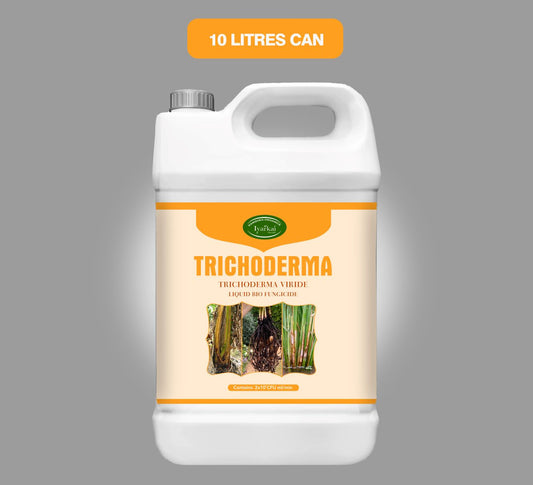 Trichoderma viride – Liquid Bio-Fungicide