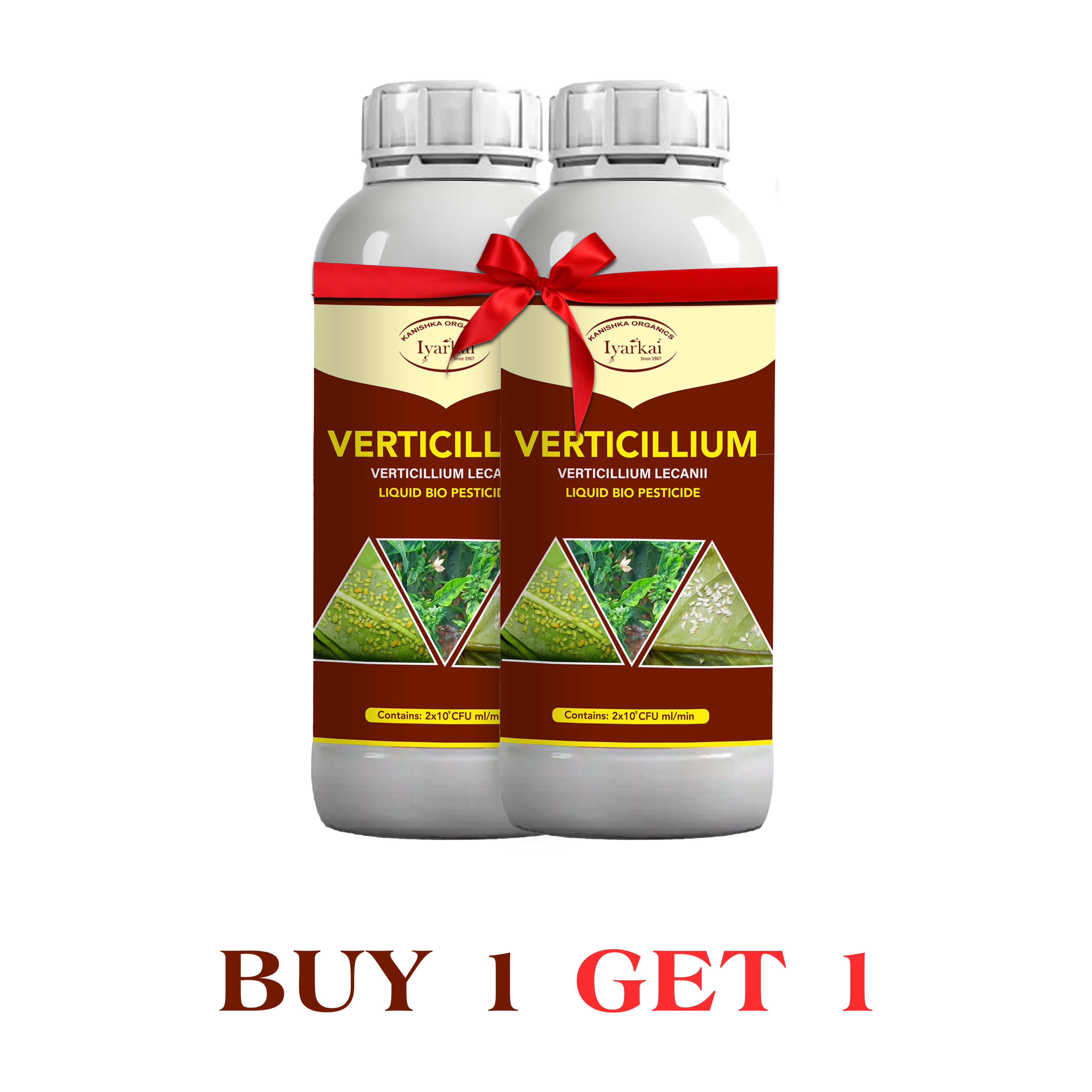 Verticillium lecanii - Liquid Bio Insecticide (1+1)