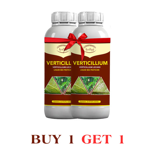 Verticillium lecanii - Liquid Bio Insecticide (1+1)