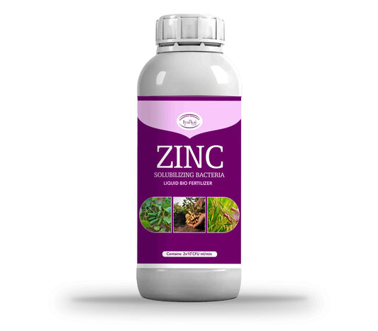 Zinc Solubilizing Bacteria Liquid – For Zinc Nutrition in Crops