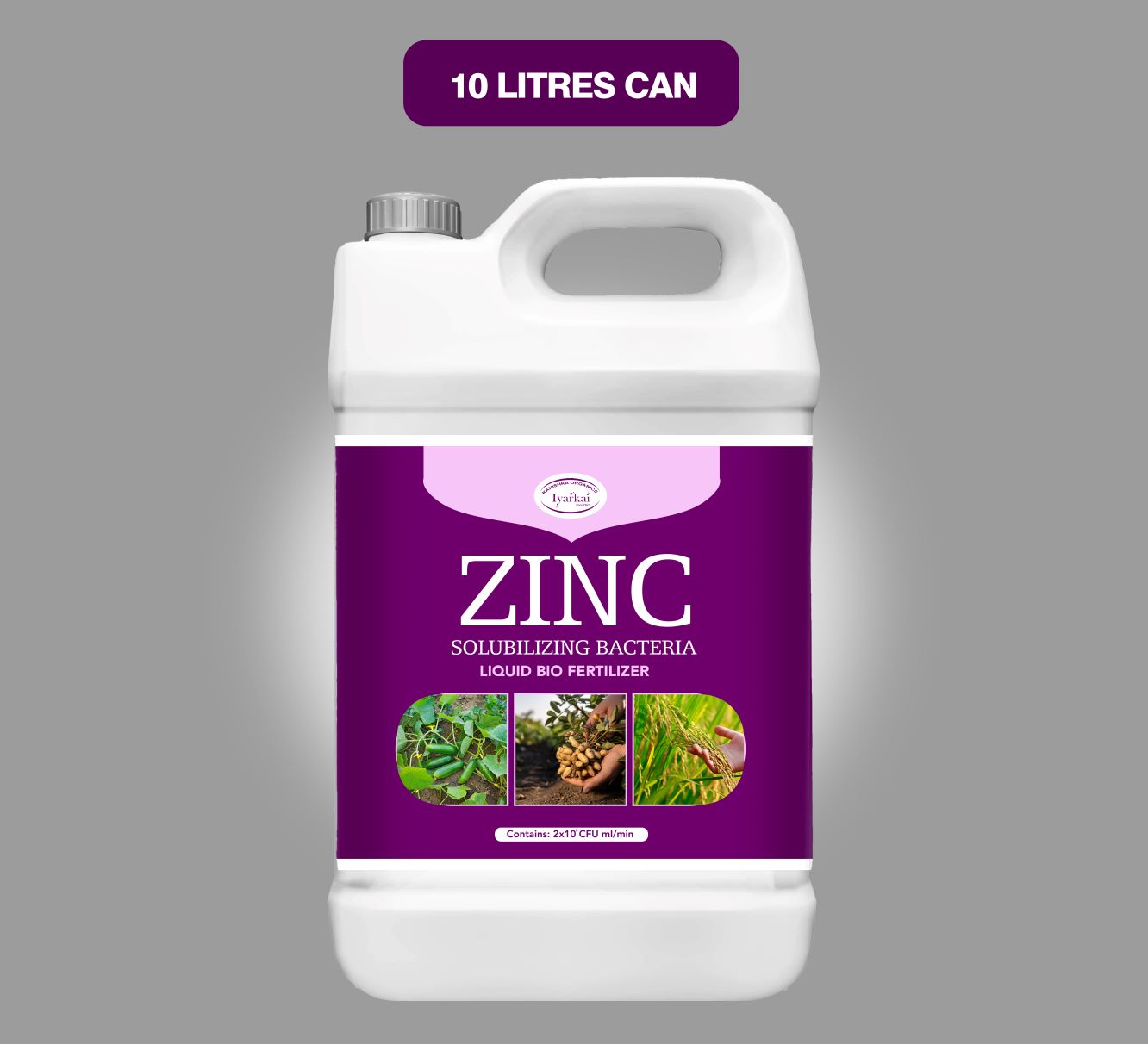 Zinc Solubilizing Bacteria Liquid – For Zinc Nutrition in Crops