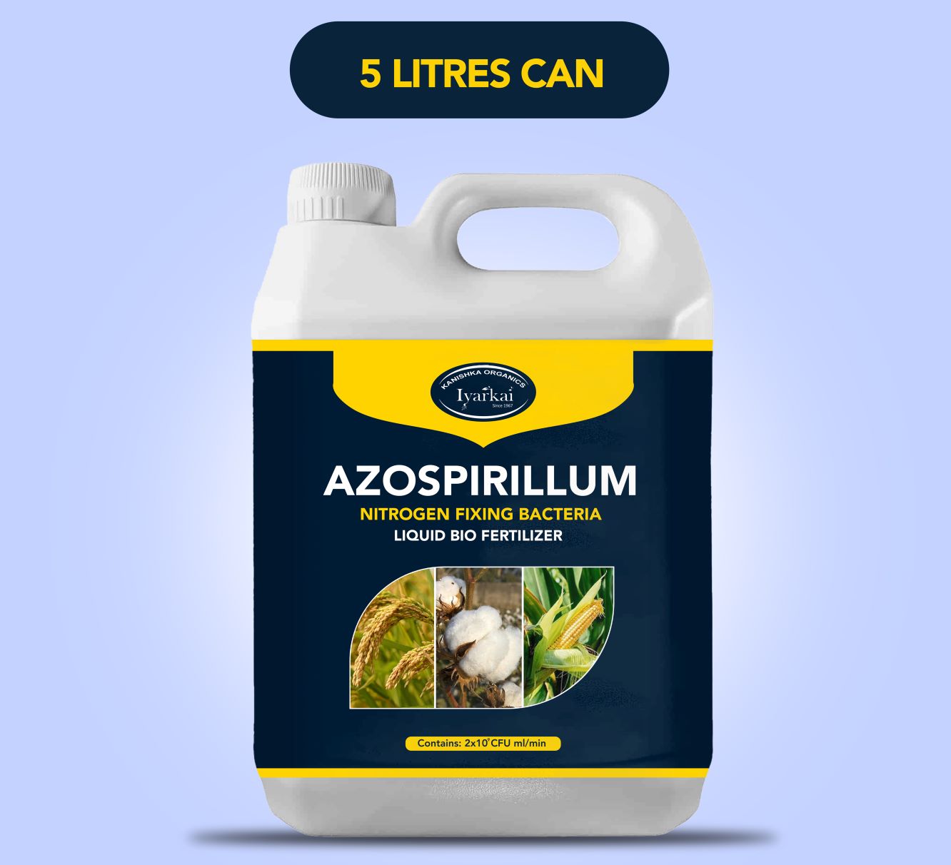Azospirillum Nitrogen Fixing Bio fertilizer