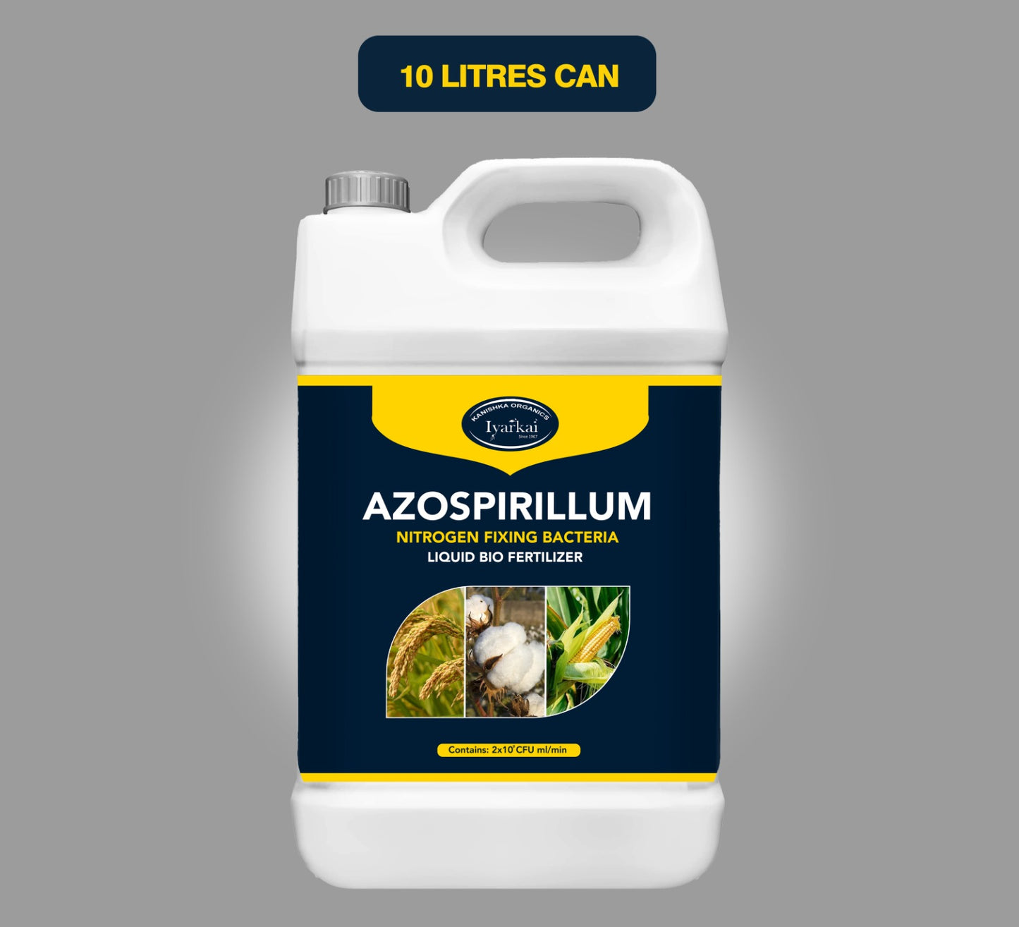 Azospirillum Nitrogen Fixing Bio fertilizer