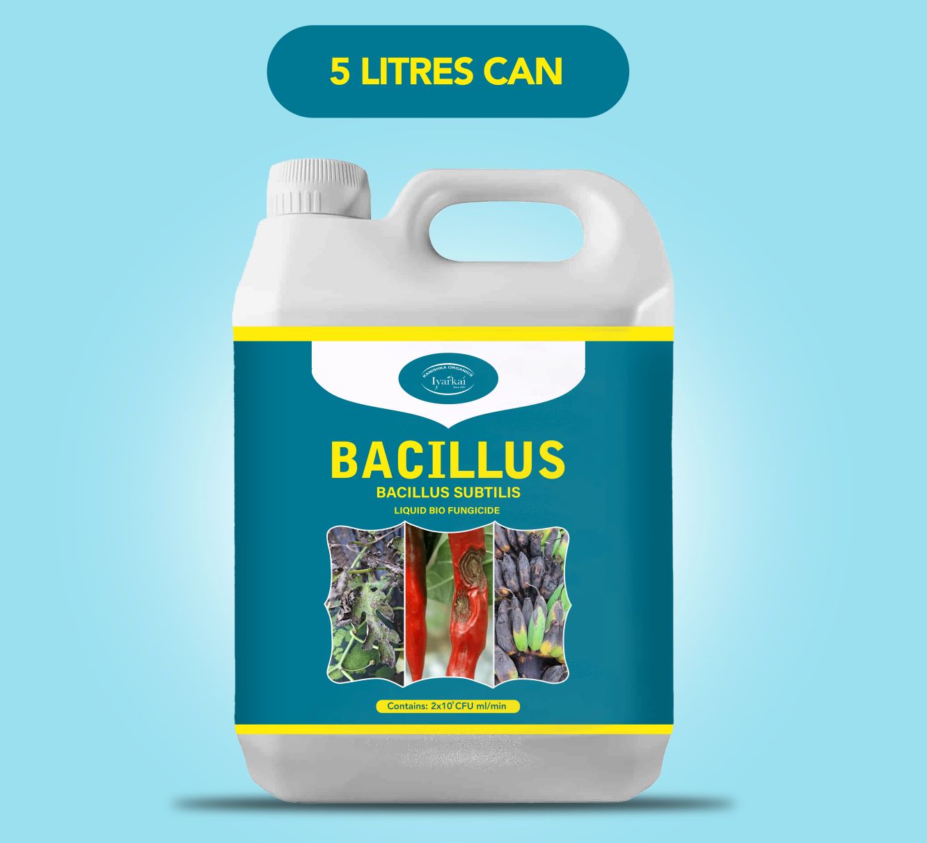 Bacillus subtilis – Liquid Bio-Fungicide