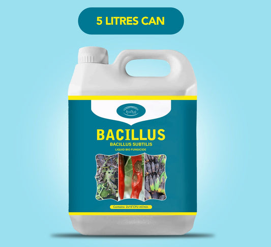 Bacillus subtilis – Liquid Bio-Fungicide