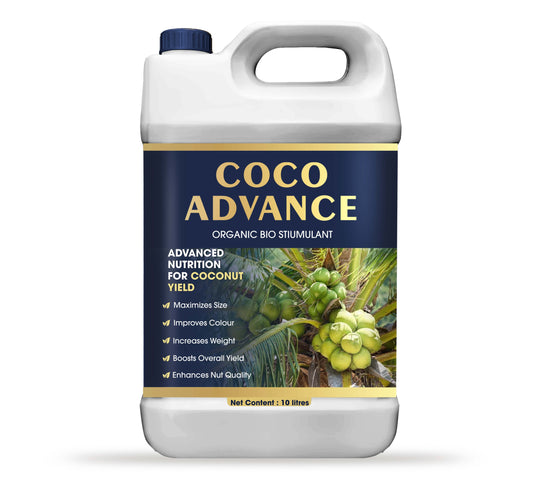 COCO ADVANCE – Organic Bio Stimulant for Coconut Yield Improvement