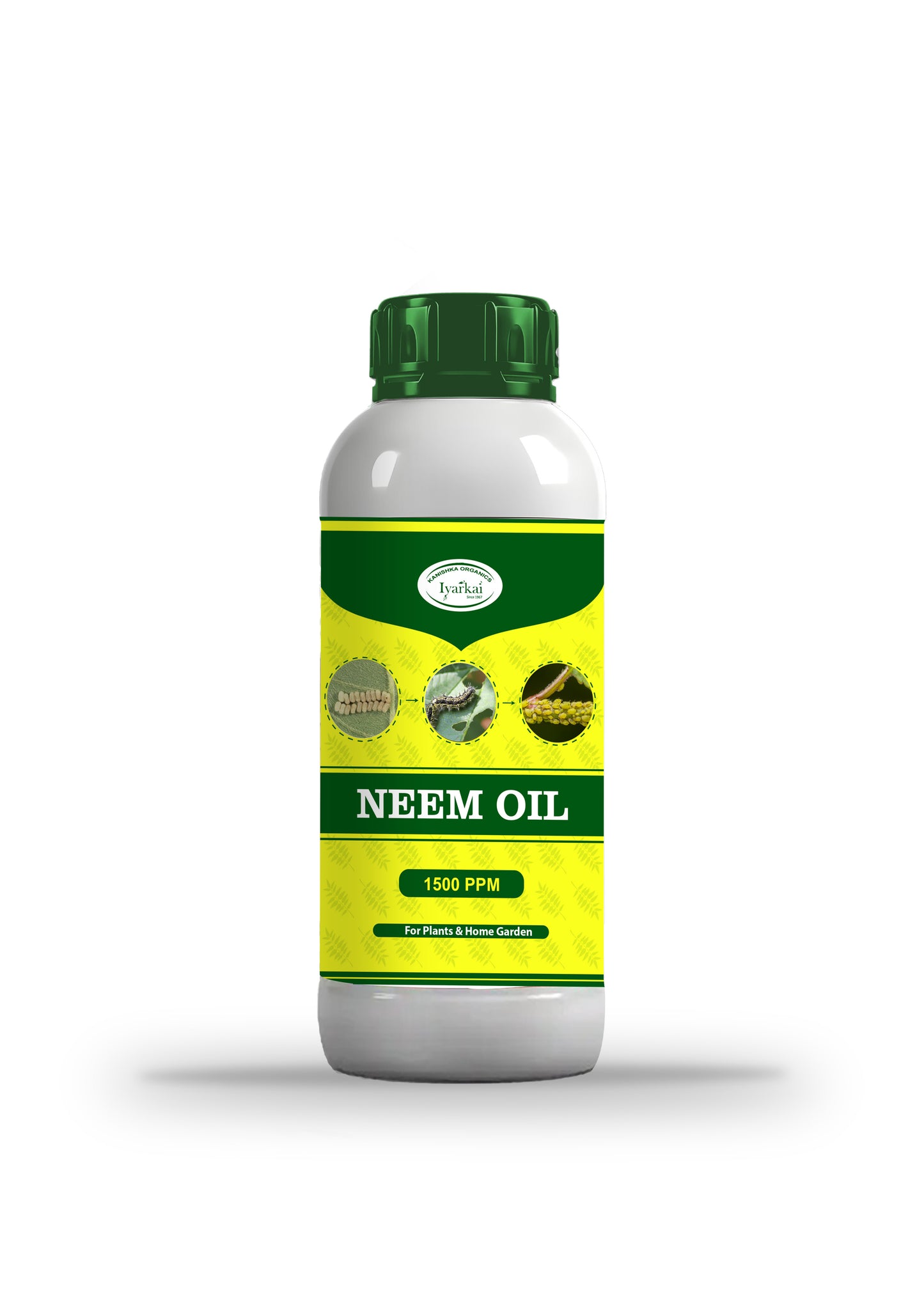 Neem Oil