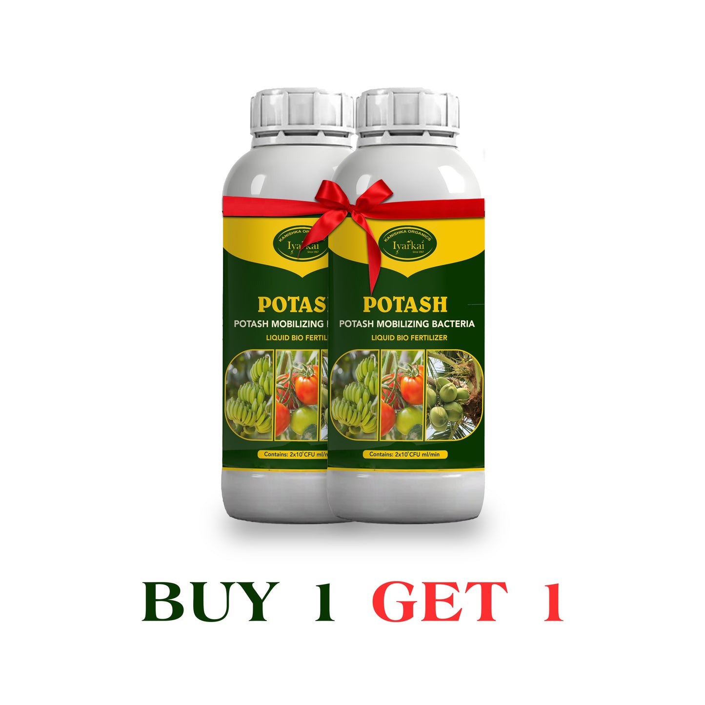 Potash Mobilizing Bacteria  (1+1)