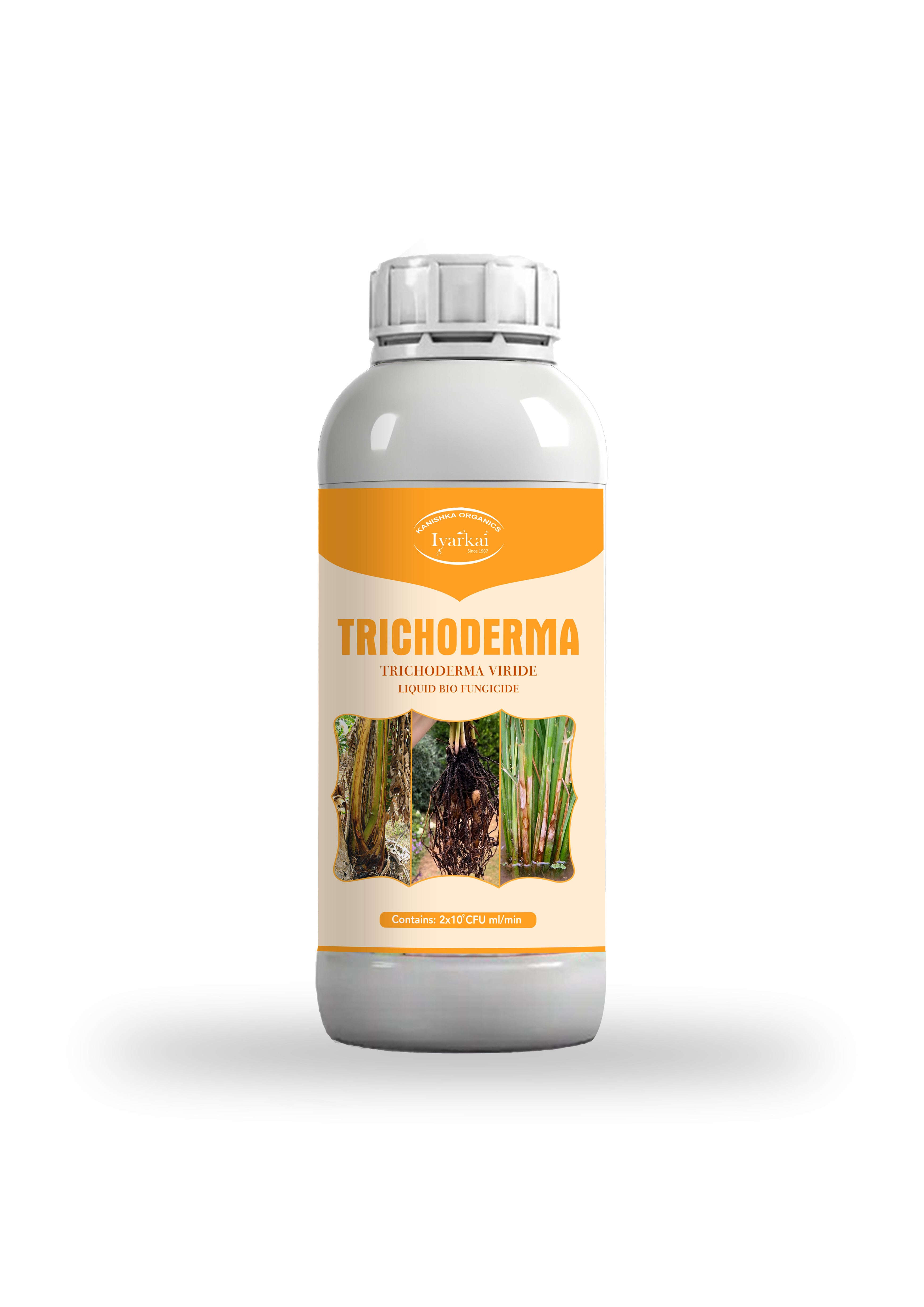 Trichoderma viride – Liquid Bio-Fungicide