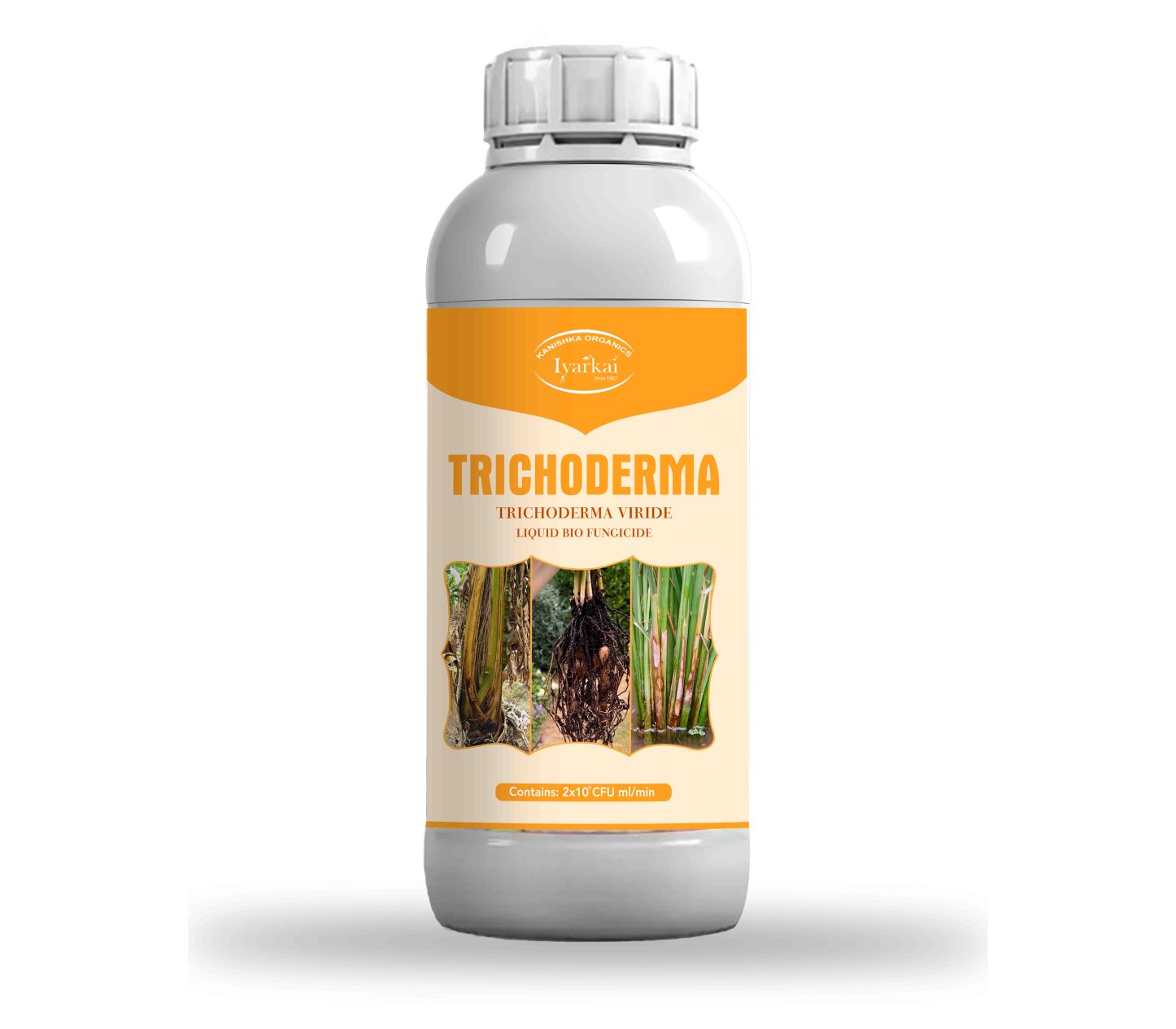 Trichoderma viride – Liquid Bio-Fungicide