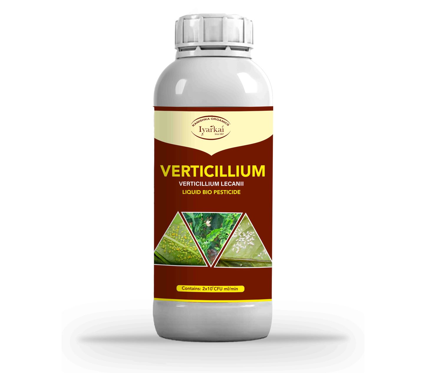 Verticillium lecanii - Liquid Bio Insecticide