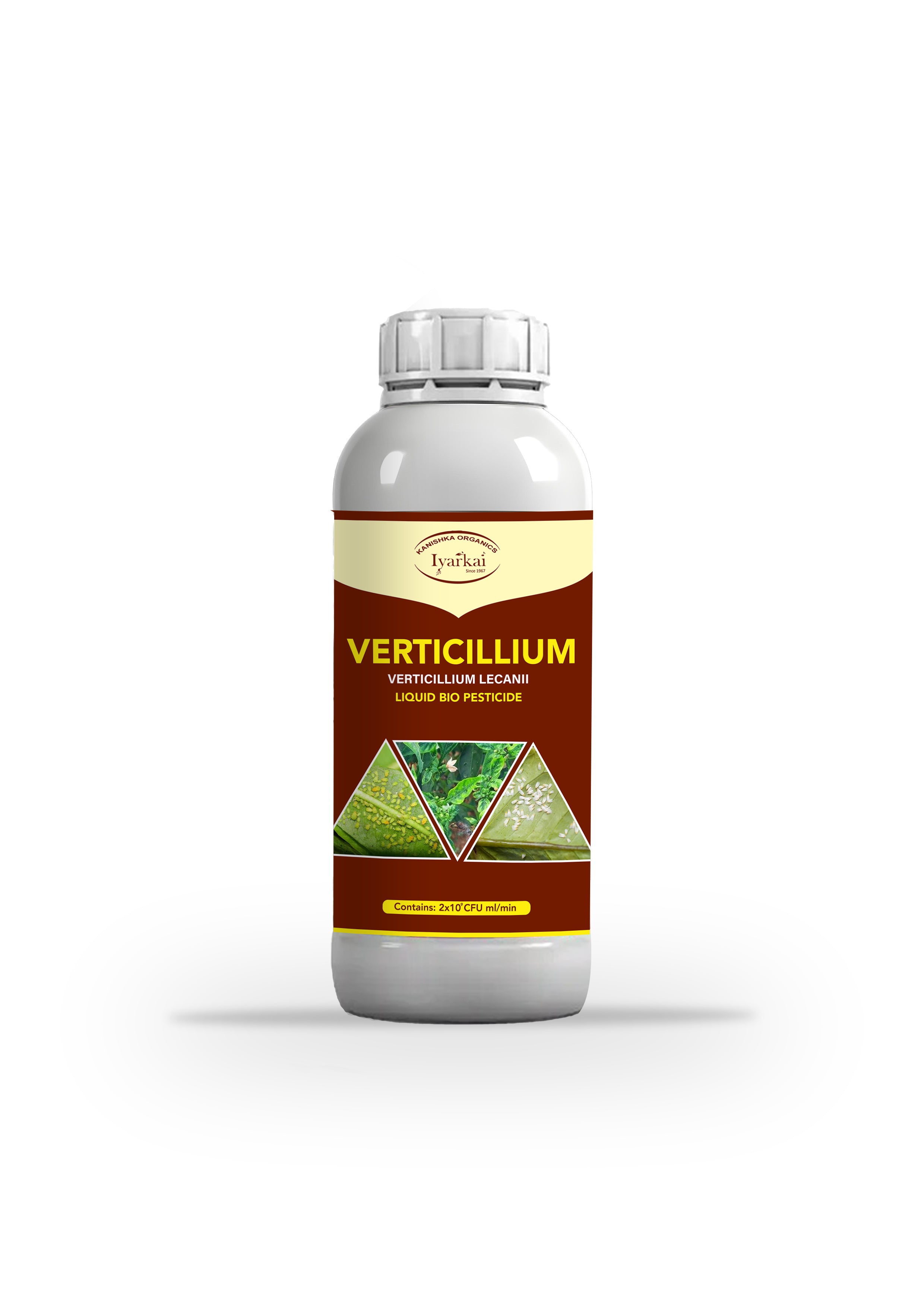 Verticillium lecanii - Liquid Bio Insecticide